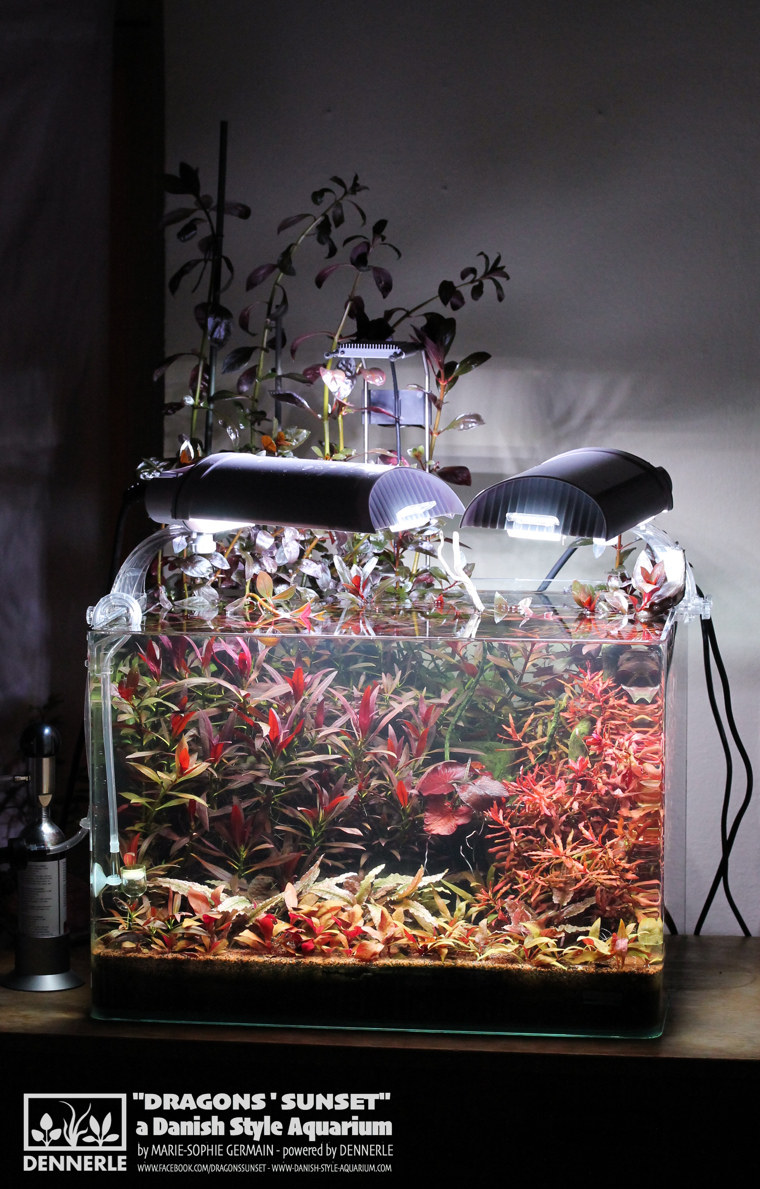 Danish Style Aquarium for Dennerle by Marie-Sophie Germain