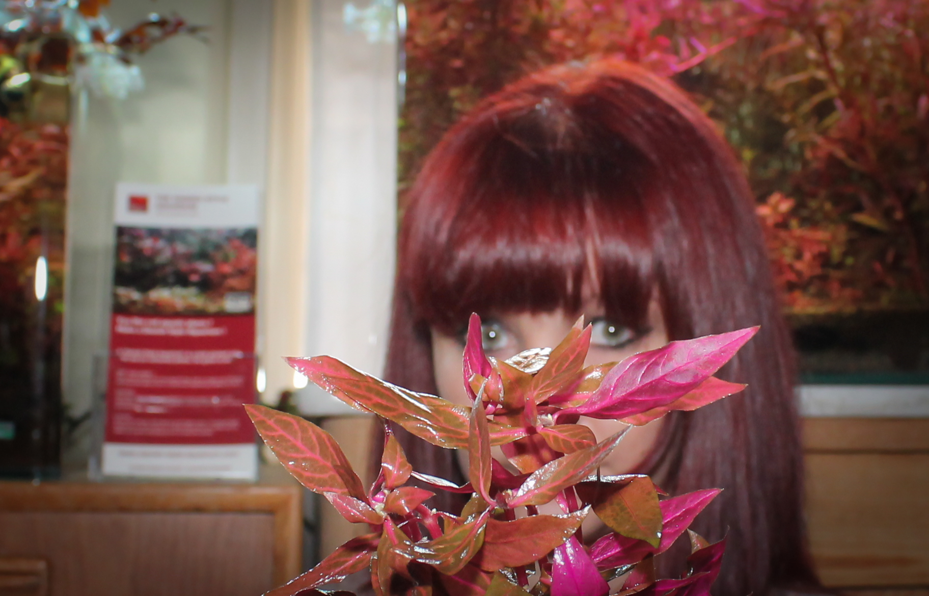 Marie-Sophie Germain / Danish Style Aquarium