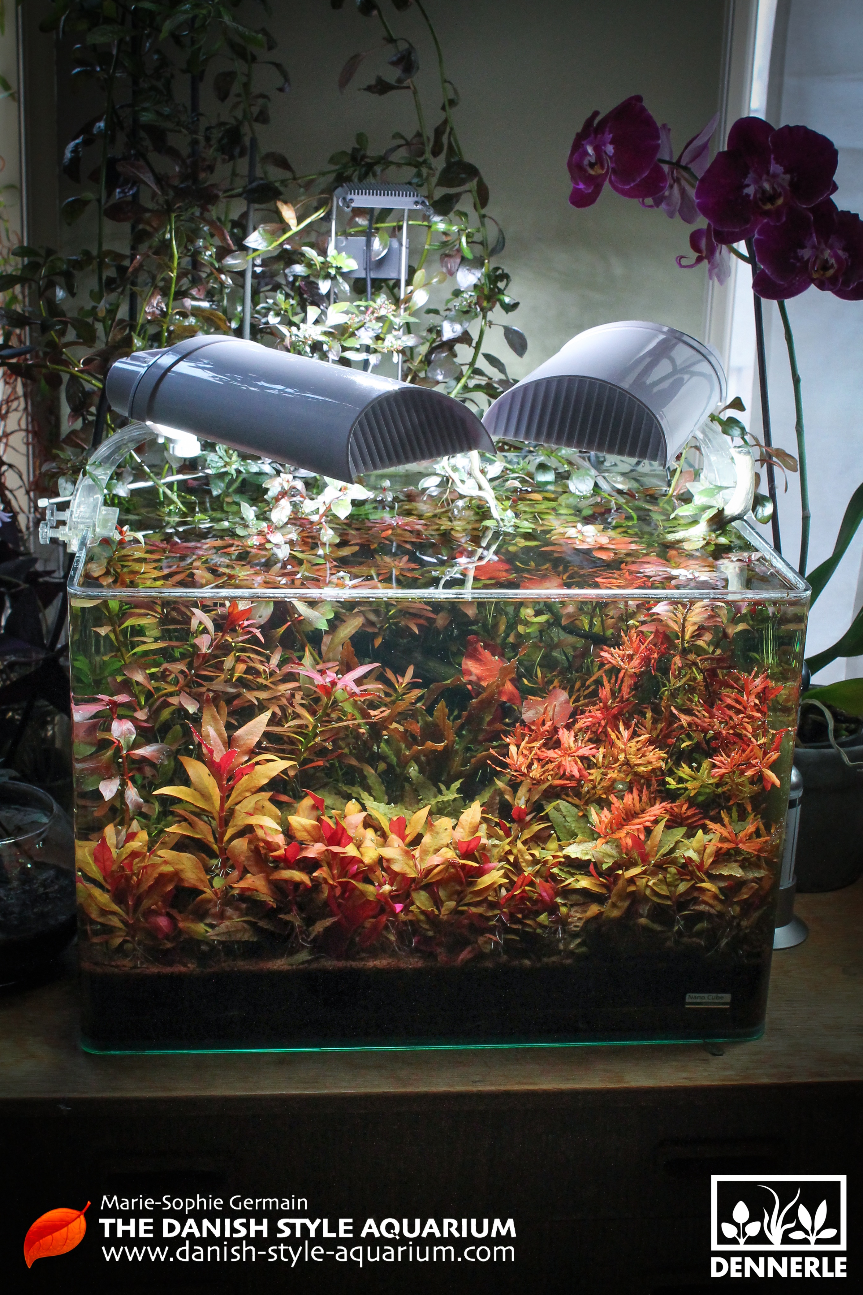 Dennerle / The Danish Style Aquarium by Marie-Sophie Germain