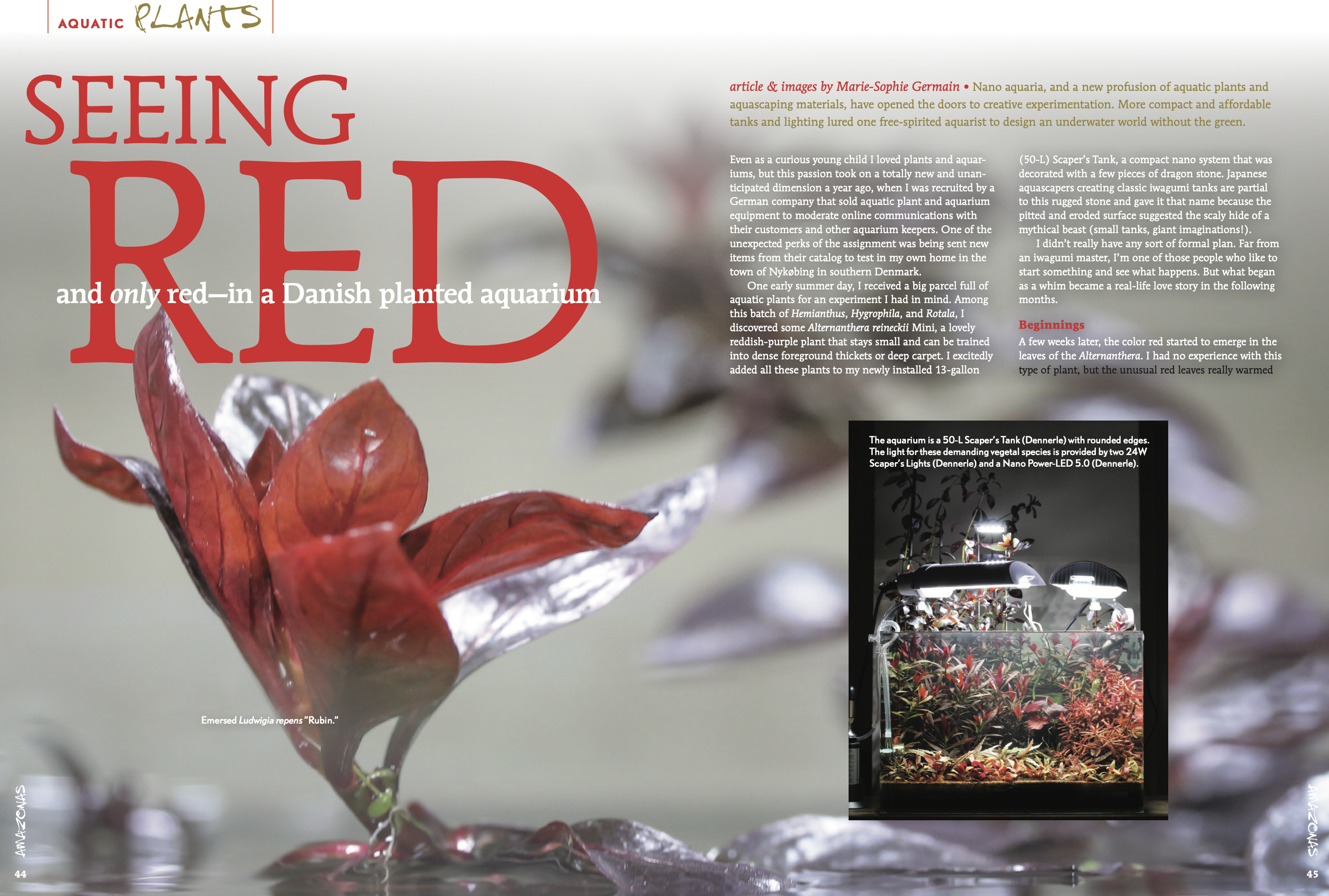 Article in Amazonas / Danish Style Aquarium by Marie-Sophie Germain