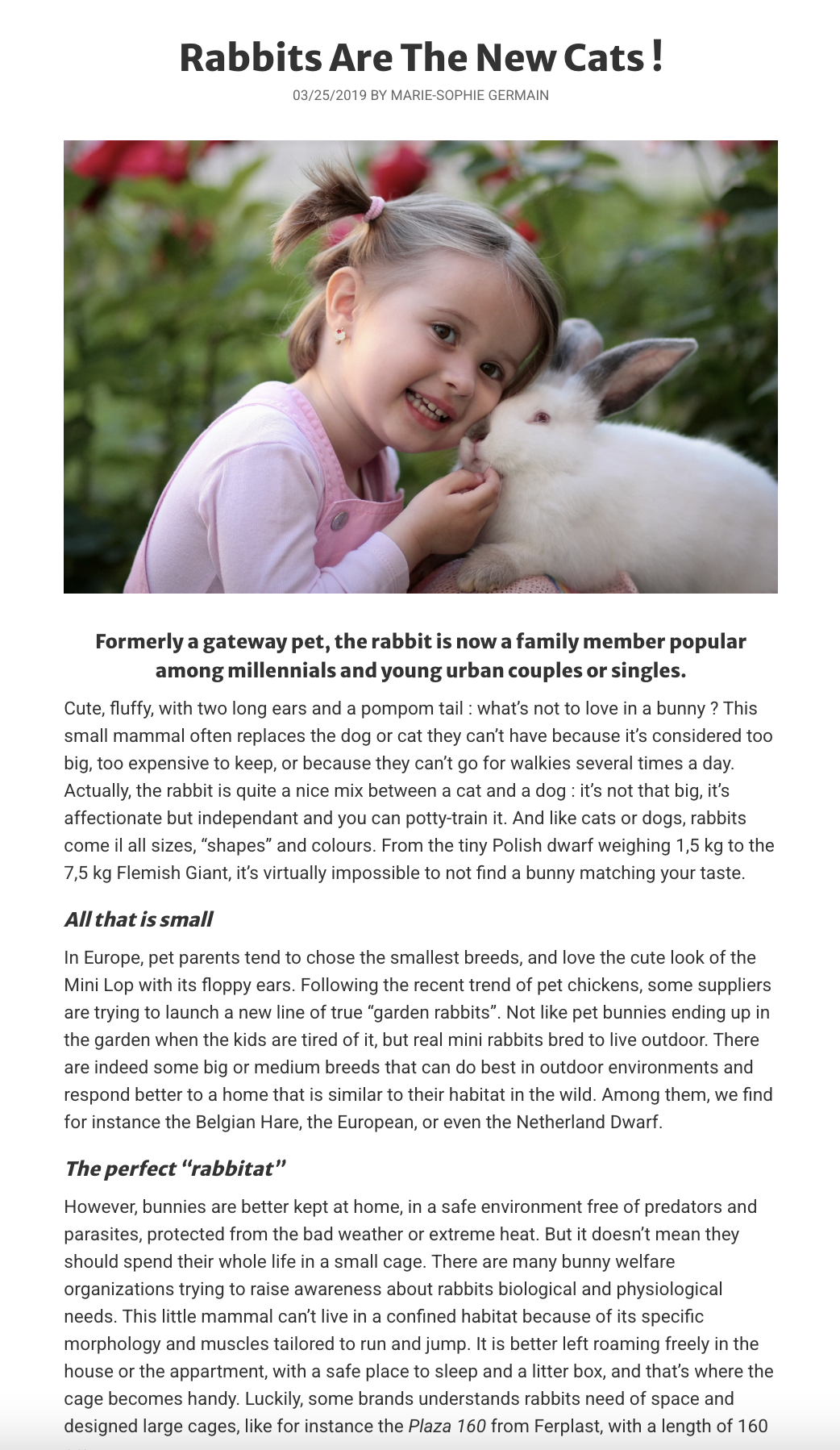 Blog post for Pocket Pets Gazette by Marie-Sophie Germain