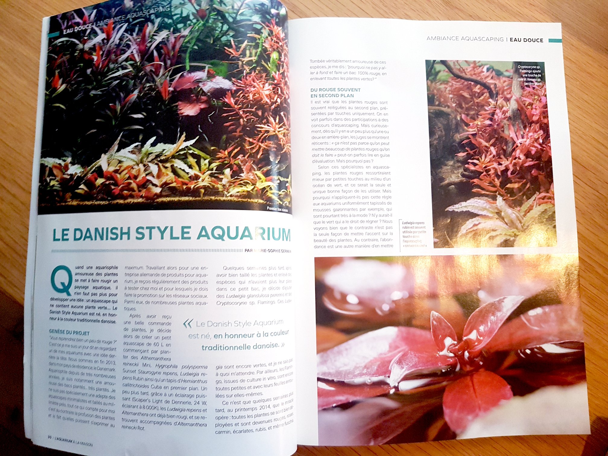 Article in L'Aquarium à la Maison / Danish Style Aquarium by Marie-Sophie Germain