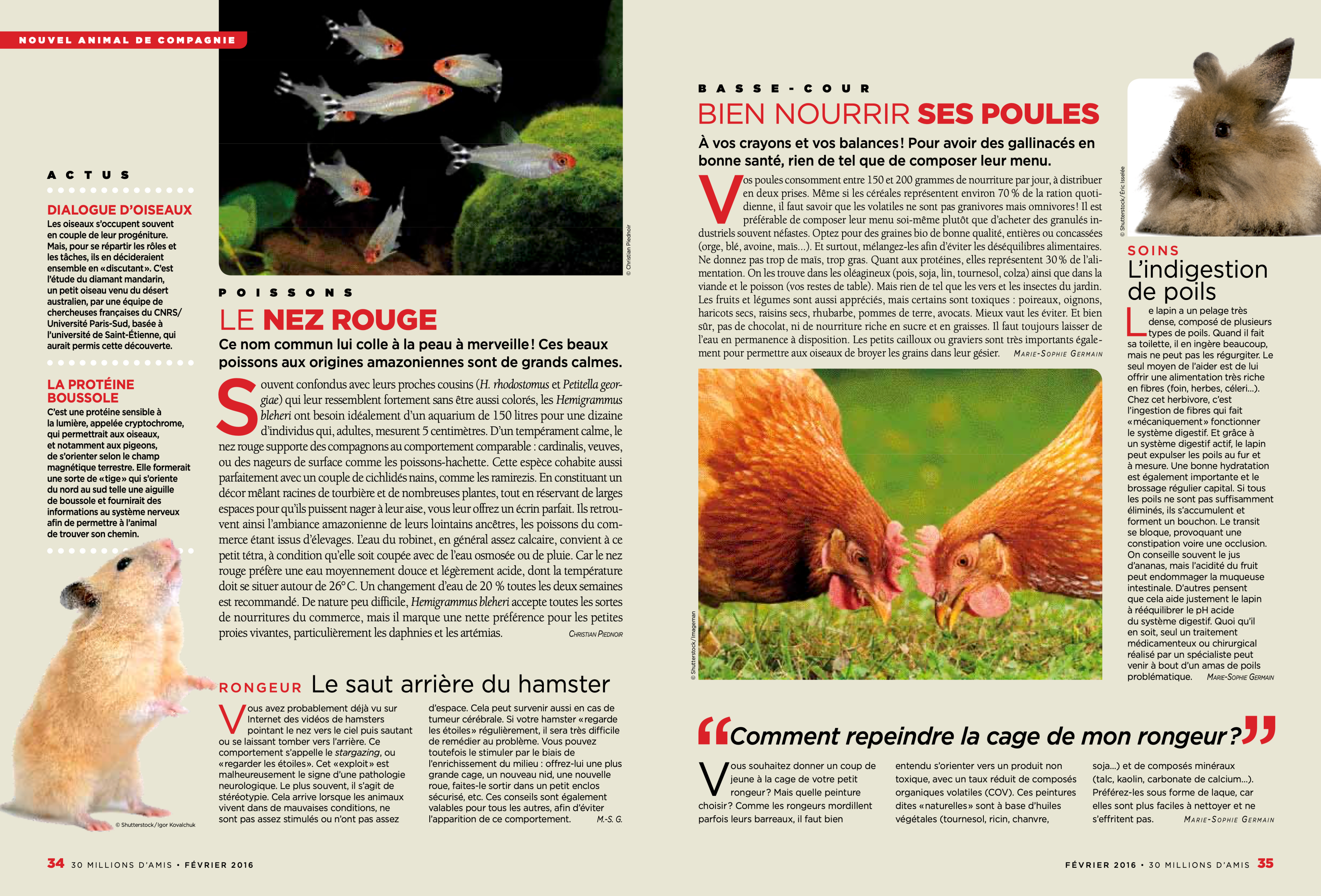 30 Million d'Amis, 2 pages pet care column by Marie-Sophie Germain