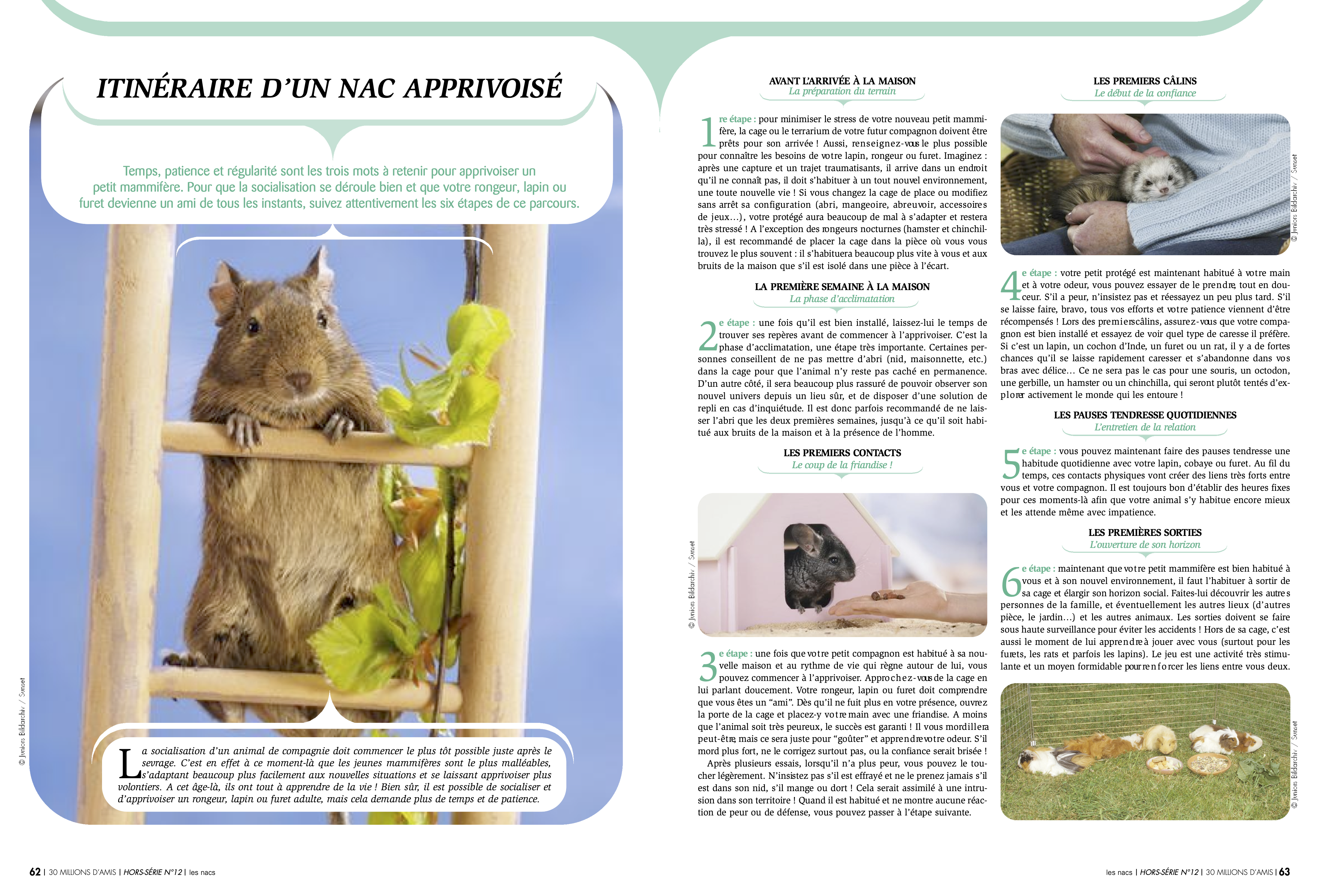 30 Millions d'Amis - pet care articles by Marie-Sophie Germain