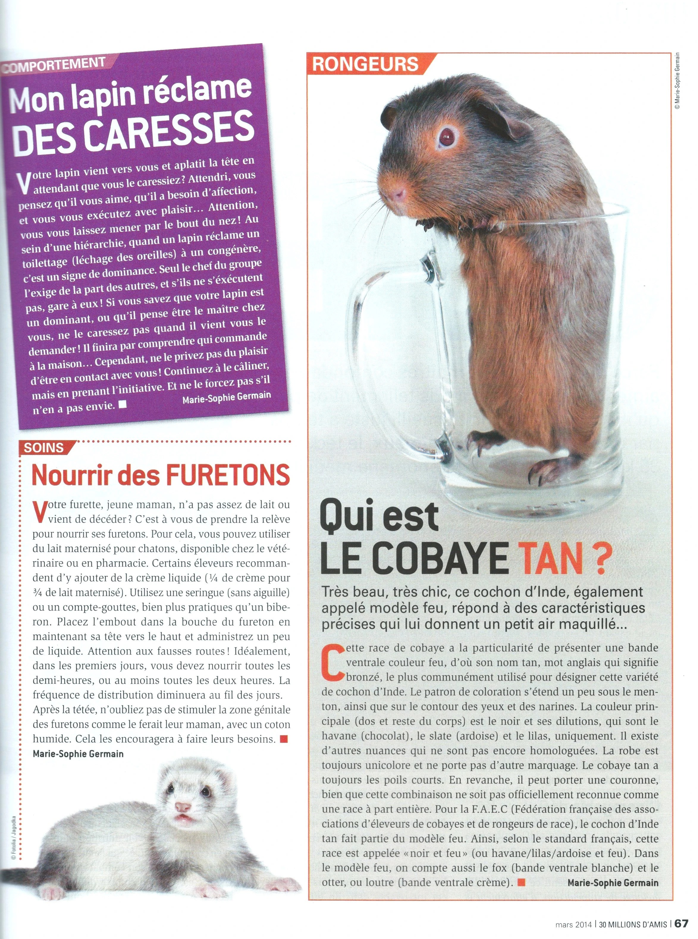 30 Millions d'Amis - pet care articles by Marie-Sophie Germain