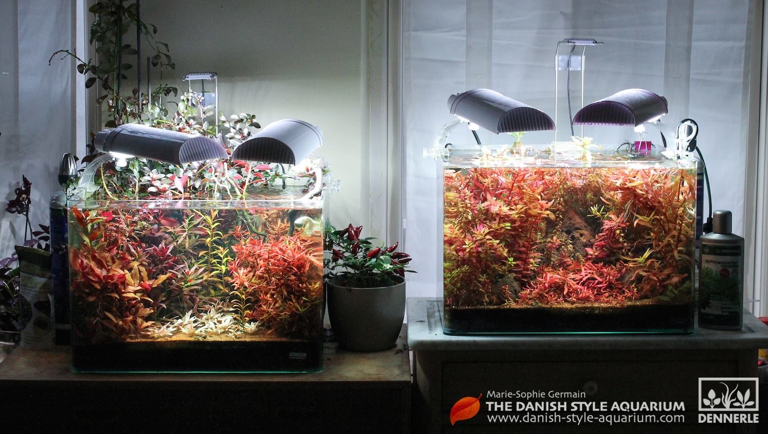 Dennerle / The Danish Style Aquarium by Marie-Sophie Germain