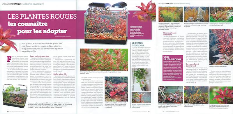 Article in L'Aquarium à la Maison / Danish Style Aquarium by Marie-Sophie Germain