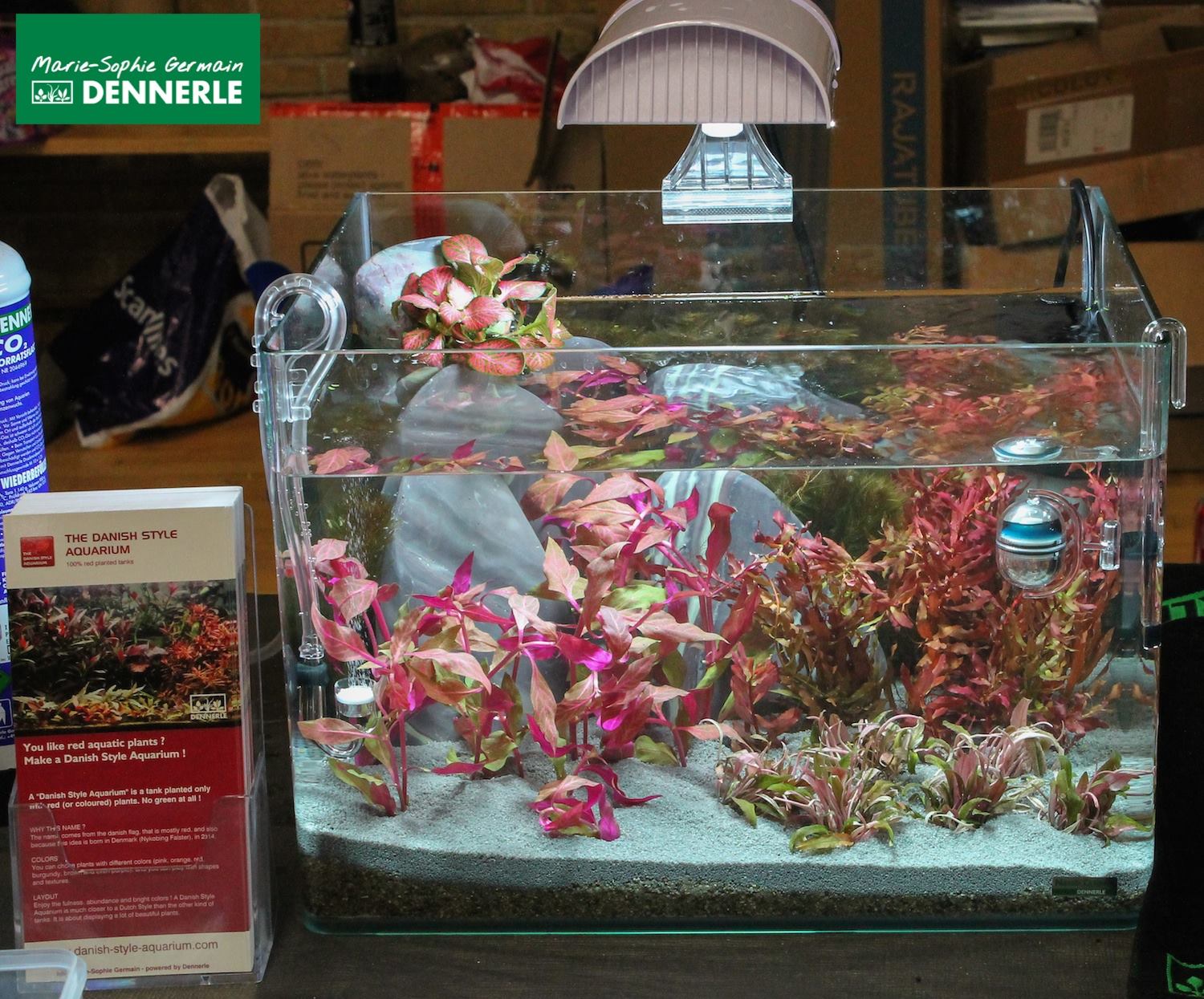 Aquascaping Demo in Denmark / Danish Style Aquarium by Marie-Sophie Germain
