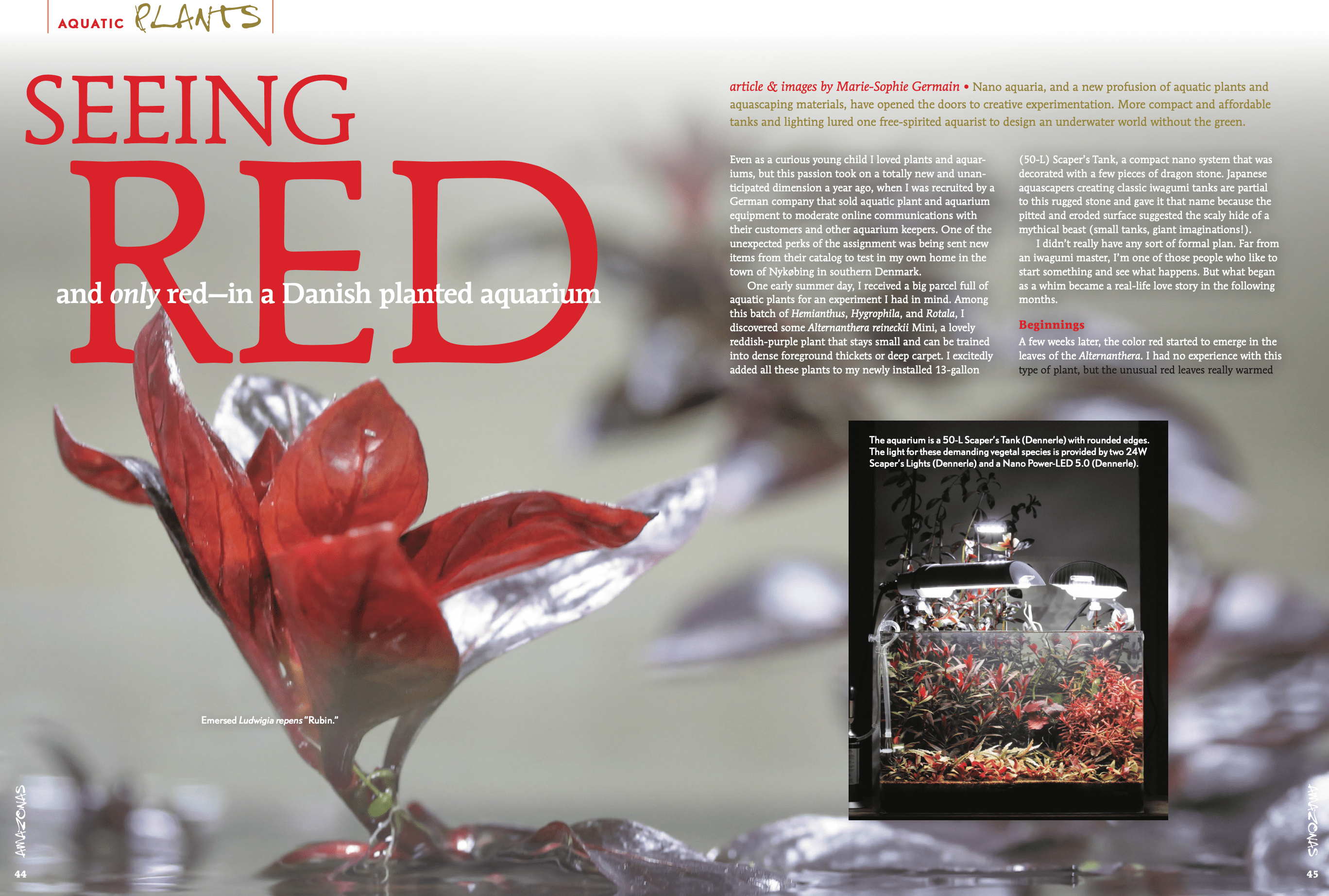 Amazonas - Danish Style Aquarium, aquarium article by Marie-Sophie Germain