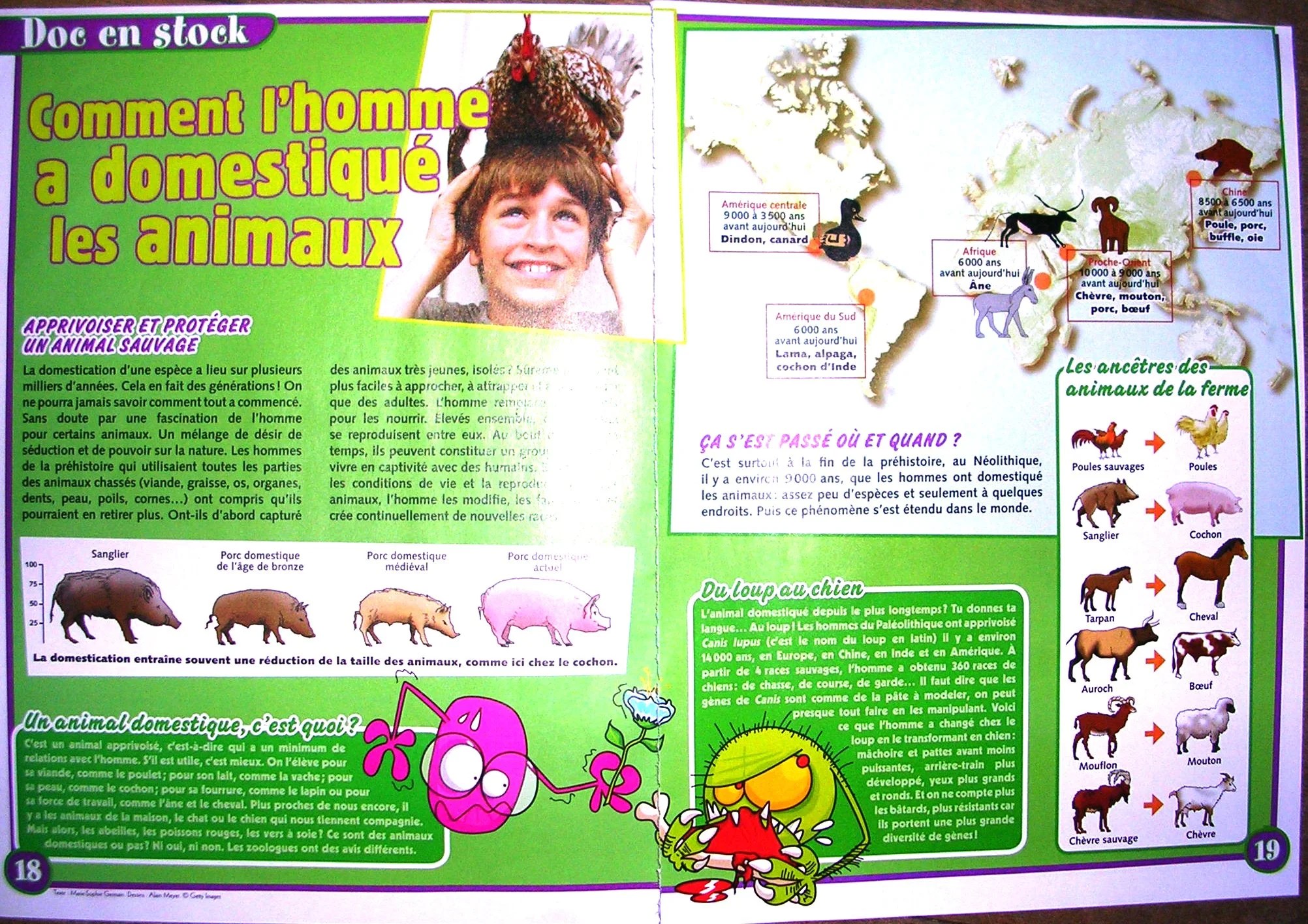 Comment l'homme a domestiqué les animaux, Science et Vie Découvertes - Marie-Sophie Germain