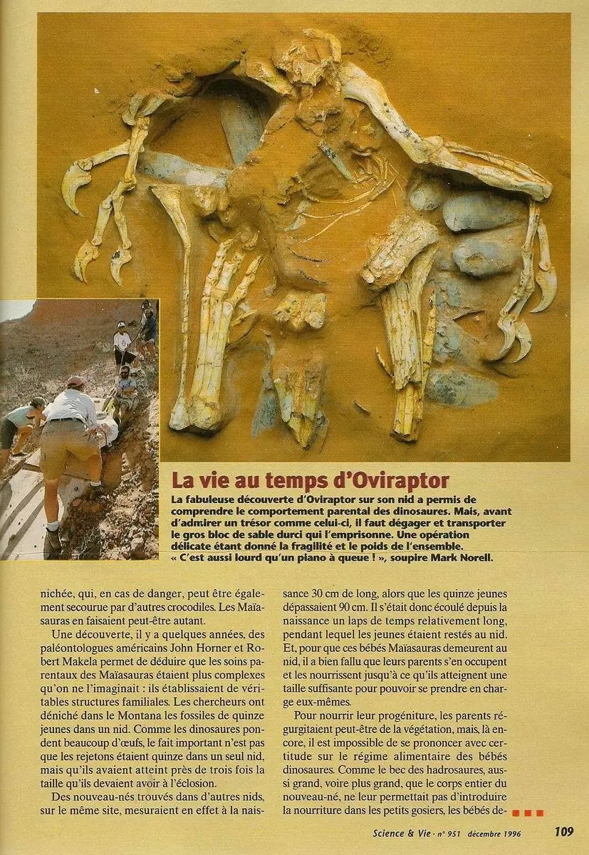 La vie au temps d'Oviraptor, Science et Vie - Marie-Sophie Germain