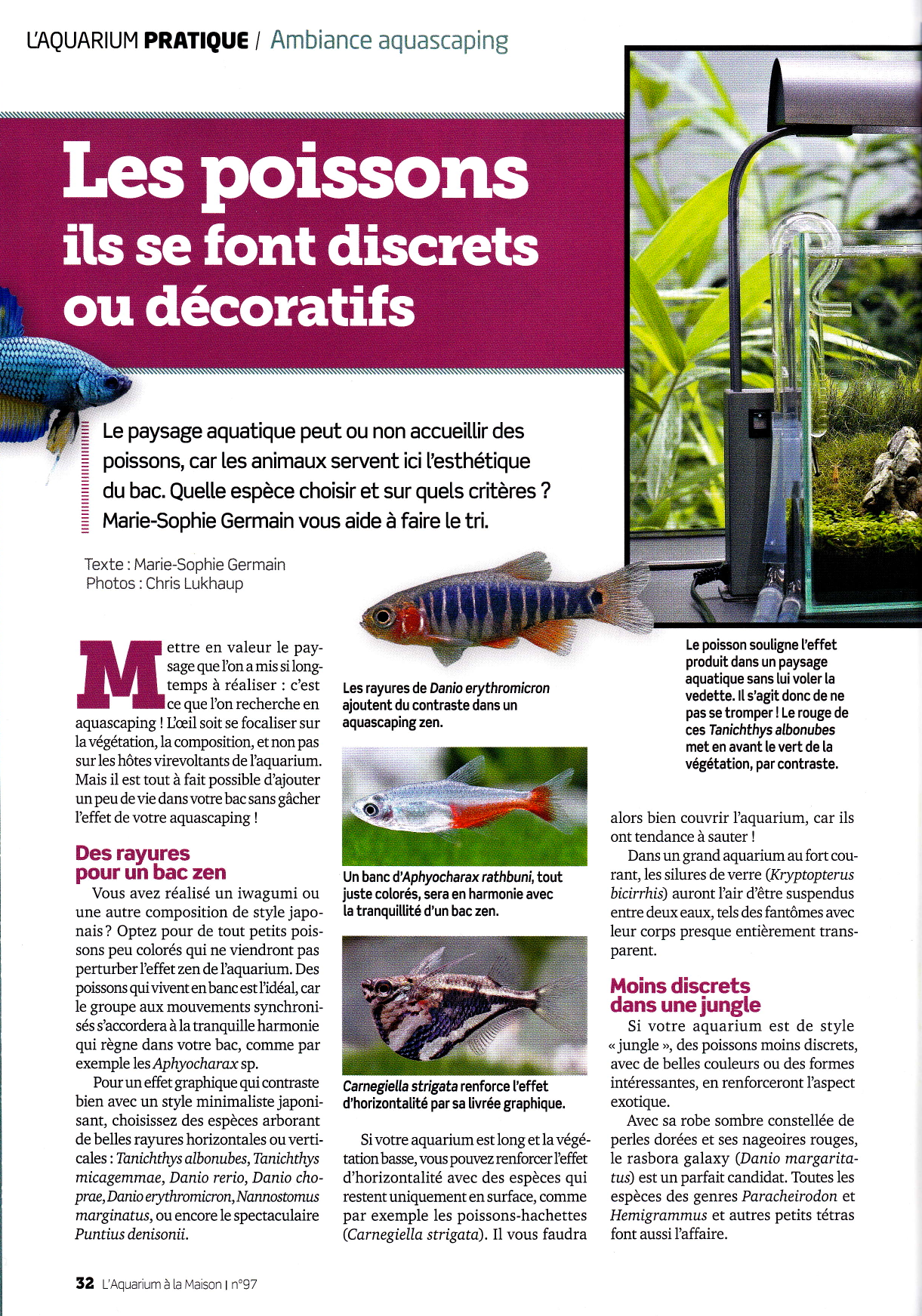 L'Aquarium à la Maison - fish care article by Marie-Sophie Germain