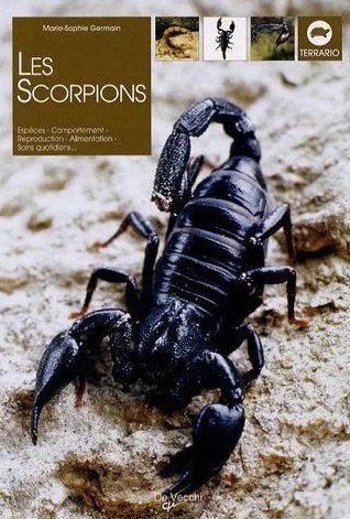 Les Scorpions - Marie-Sophie Germain