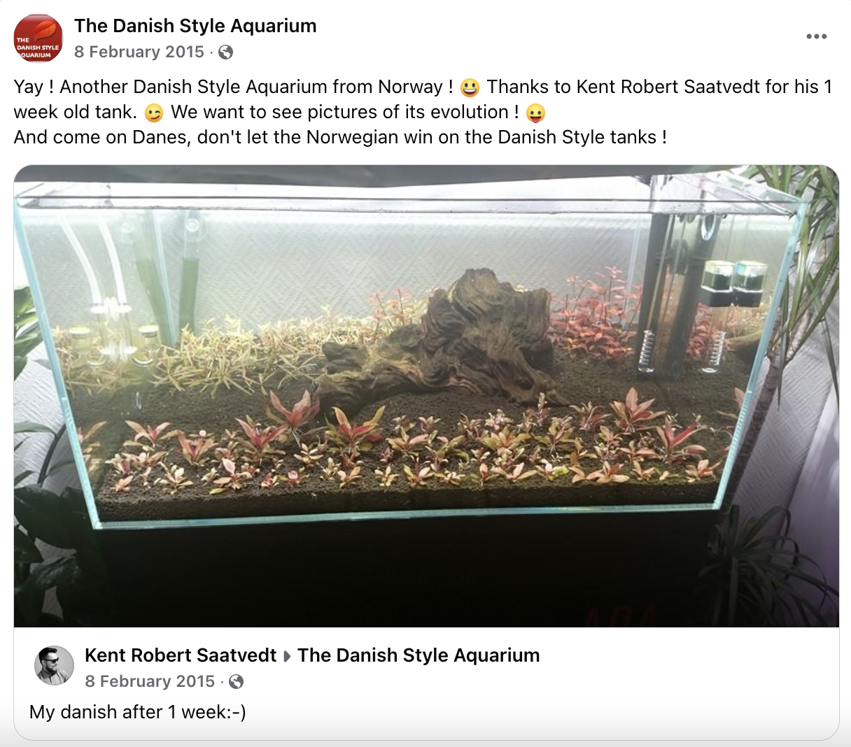 Danish Style Aquarium by a fan in Norway