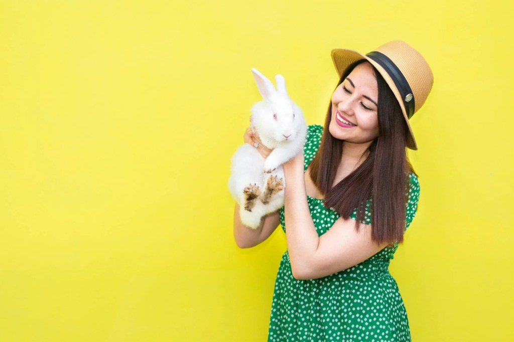 Rabbits Are the New Cats — And Here’s the Data to Prove&nbsp;It