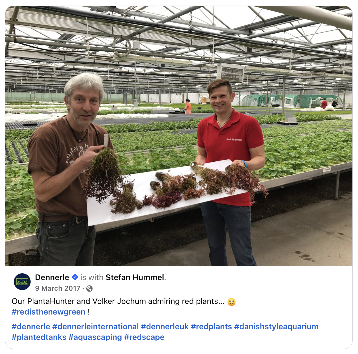 Dennerle Team / Danish Style Aquarium by Marie-Sophie Germain