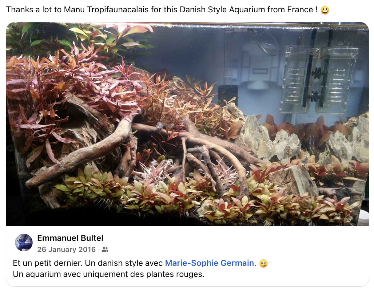 Danish Style Aquarium by a fan in France