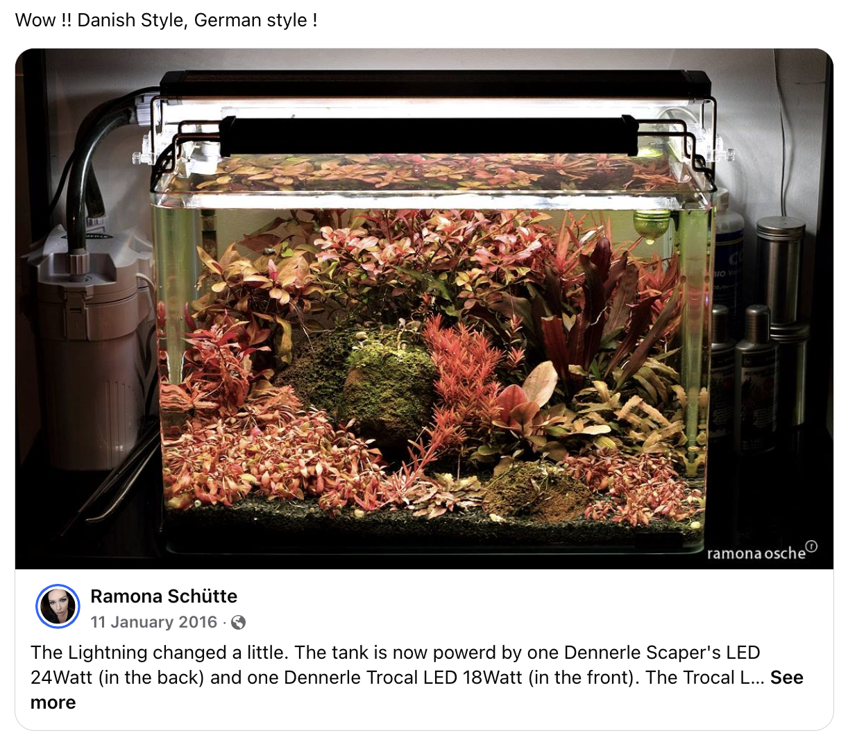 Danish Style Aquarium by a fan in Germany