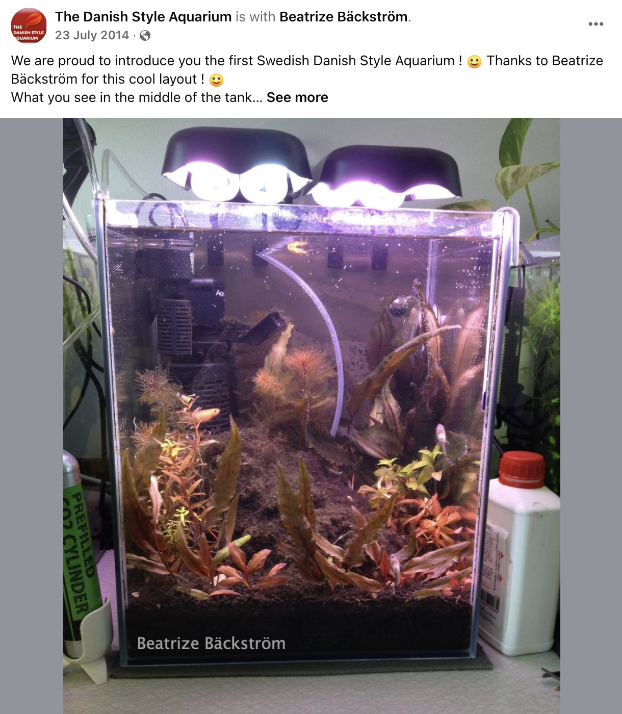 Danish Style Aquarium by a fan in Sweden